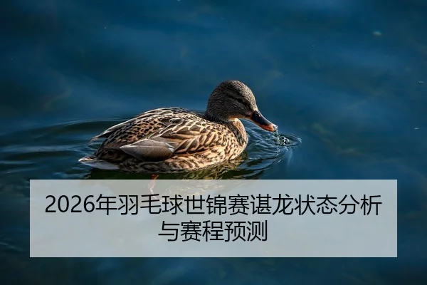 2026年羽毛球世锦赛谌龙状态分析与赛程预测