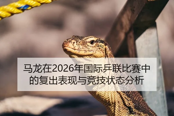 马龙在2026年国际乒联比赛中的复出表现与竞技状态分析