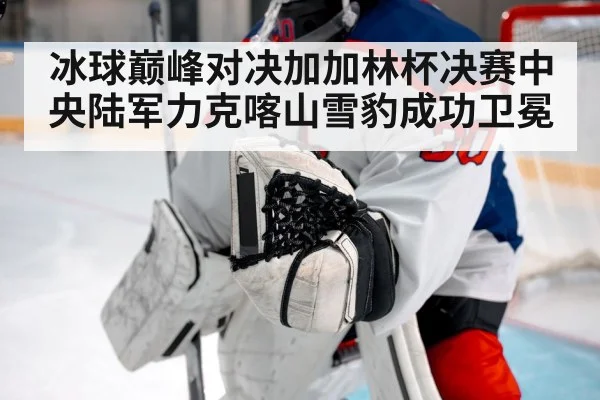 ice hockey goalkeeper save